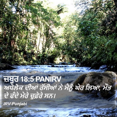 ਜ਼ਬੂਰ 18:5 PANIRV Bible Verse Image