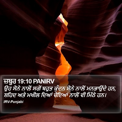 ਜ਼ਬੂਰ 19:10 PANIRV Bible Verse Image