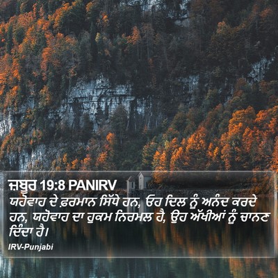 ਜ਼ਬੂਰ 19:8 PANIRV Bible Verse Image