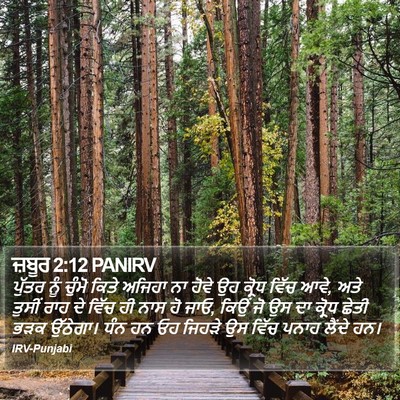 ਜ਼ਬੂਰ 2:12 PANIRV Bible Verse Image
