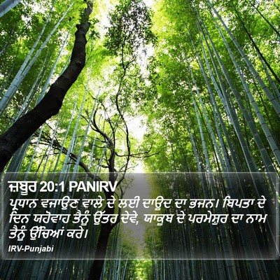 ਜ਼ਬੂਰ 20:1 PANIRV Bible Verse Image
