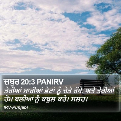 ਜ਼ਬੂਰ 20:3 PANIRV Bible Verse Image