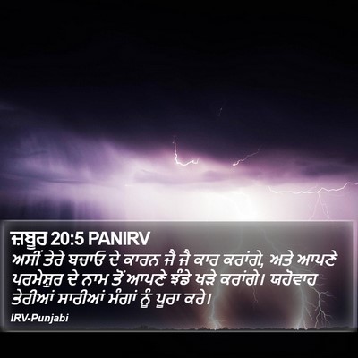 ਜ਼ਬੂਰ 20:5 PANIRV Bible Verse Image