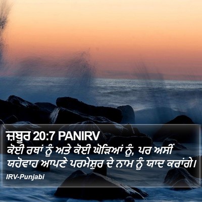ਜ਼ਬੂਰ 20:7 PANIRV Bible Verse Image