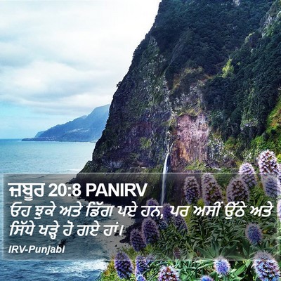 ਜ਼ਬੂਰ 20:8 PANIRV Bible Verse Image