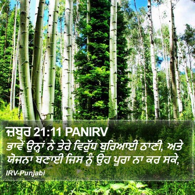 ਜ਼ਬੂਰ 21:11 PANIRV Bible Verse Image