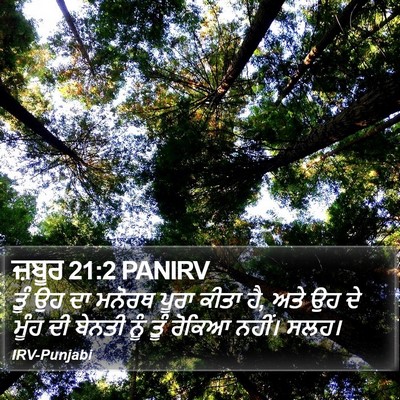 ਜ਼ਬੂਰ 21:2 PANIRV Bible Verse Image