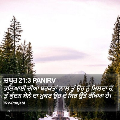 ਜ਼ਬੂਰ 21:3 PANIRV Bible Verse Image