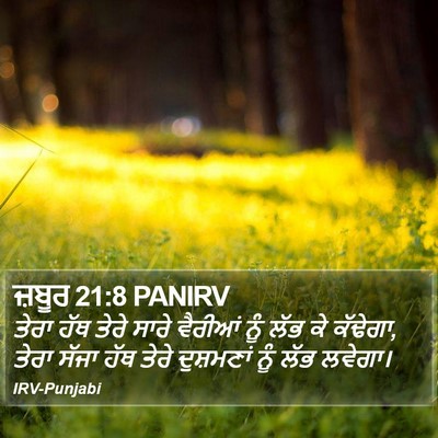 ਜ਼ਬੂਰ 21:8 PANIRV Bible Verse Image