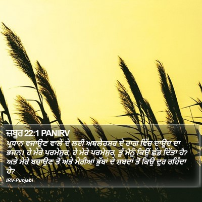 ਜ਼ਬੂਰ 22:1 PANIRV Bible Verse Image