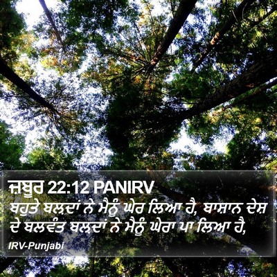 ਜ਼ਬੂਰ 22:12 PANIRV Bible Verse Image