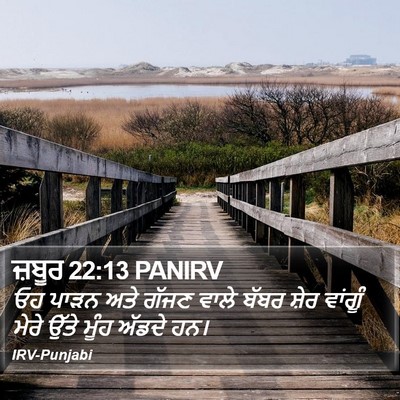 ਜ਼ਬੂਰ 22:13 PANIRV Bible Verse Image