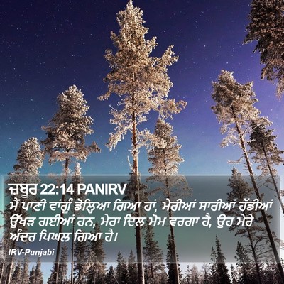 ਜ਼ਬੂਰ 22:14 PANIRV Bible Verse Image