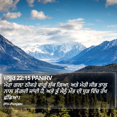 ਜ਼ਬੂਰ 22:15 PANIRV Bible Verse Image