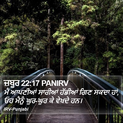 ਜ਼ਬੂਰ 22:17 PANIRV Bible Verse Image