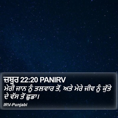 ਜ਼ਬੂਰ 22:20 PANIRV Bible Verse Image