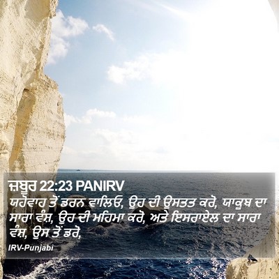 ਜ਼ਬੂਰ 22:23 PANIRV Bible Verse Image