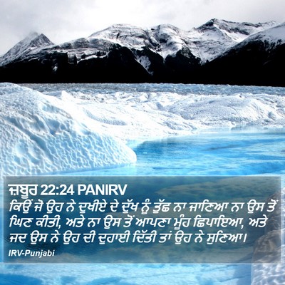 ਜ਼ਬੂਰ 22:24 PANIRV Bible Verse Image