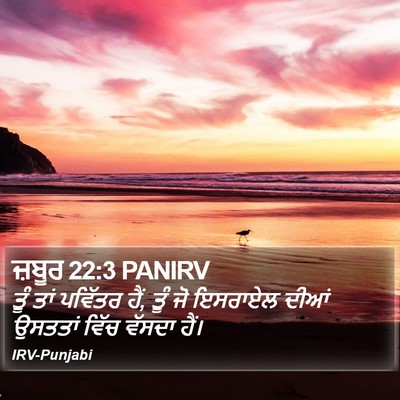 ਜ਼ਬੂਰ 22:3 PANIRV Bible Verse Image