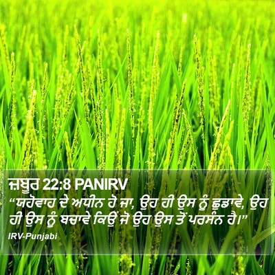ਜ਼ਬੂਰ 22:8 PANIRV Bible Verse Image
