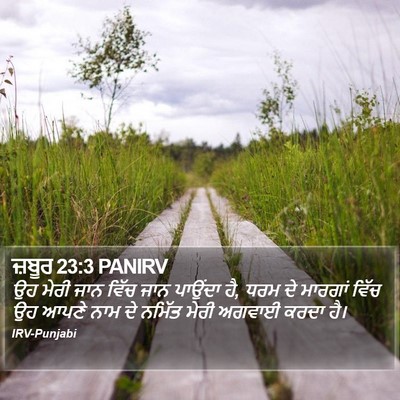 ਜ਼ਬੂਰ 23:3 PANIRV Bible Verse Image