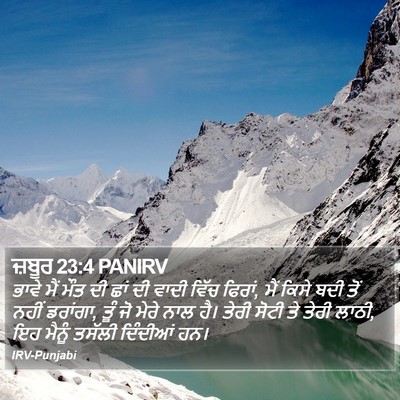 ਜ਼ਬੂਰ 23:4 PANIRV Bible Verse Image