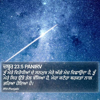 ਜ਼ਬੂਰ 23:5 PANIRV Bible Verse Image