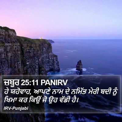 ਜ਼ਬੂਰ 25:11 PANIRV Bible Verse Image