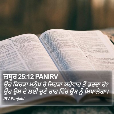 ਜ਼ਬੂਰ 25:12 PANIRV Bible Verse Image