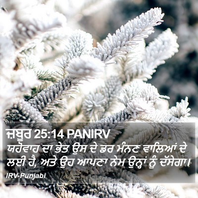 ਜ਼ਬੂਰ 25:14 PANIRV Bible Verse Image