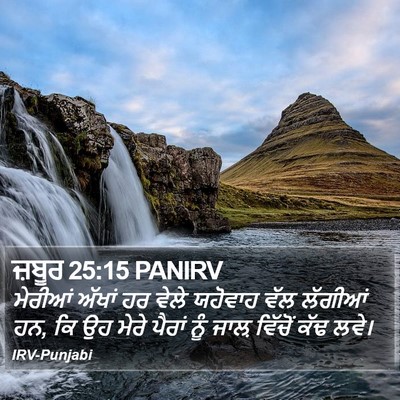 ਜ਼ਬੂਰ 25:15 PANIRV Bible Verse Image