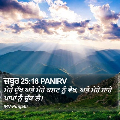 ਜ਼ਬੂਰ 25:18 PANIRV Bible Verse Image