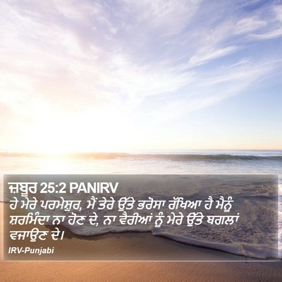 ਜ਼ਬੂਰ 25:2 PANIRV Bible Verse Image