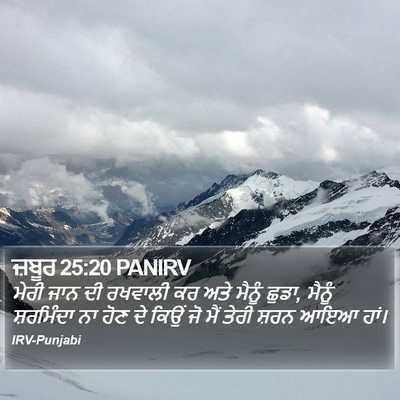 ਜ਼ਬੂਰ 25:20 PANIRV Bible Verse Image