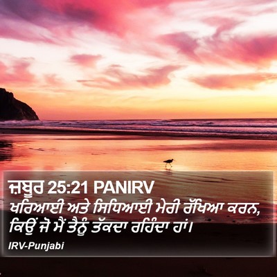 ਜ਼ਬੂਰ 25:21 PANIRV Bible Verse Image