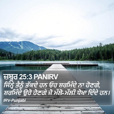 ਜ਼ਬੂਰ 25:3 PANIRV Bible Verse Image