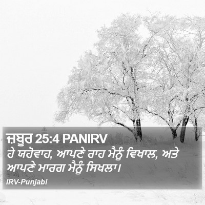 ਜ਼ਬੂਰ 25:4 PANIRV Bible Verse Image