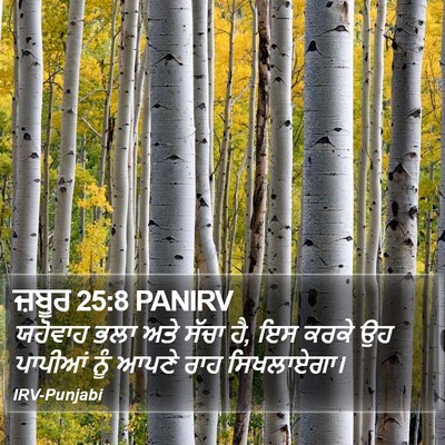 ਜ਼ਬੂਰ 25:8 PANIRV Bible Verse Image