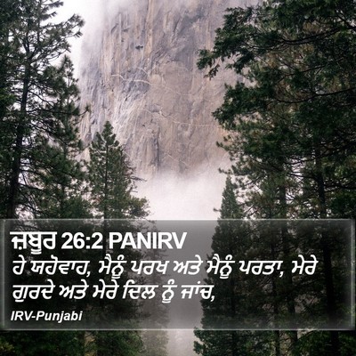 ਜ਼ਬੂਰ 26:2 PANIRV Bible Verse Image