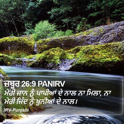 ਜ਼ਬੂਰ 26:9 PANIRV Bible Verse Image