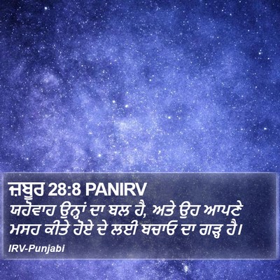 ਜ਼ਬੂਰ 28:8 PANIRV Bible Verse Image