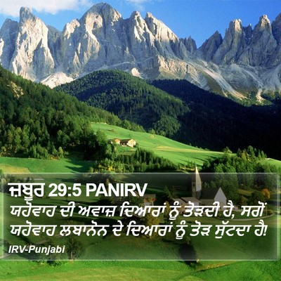 ਜ਼ਬੂਰ 29:5 PANIRV Bible Verse Image