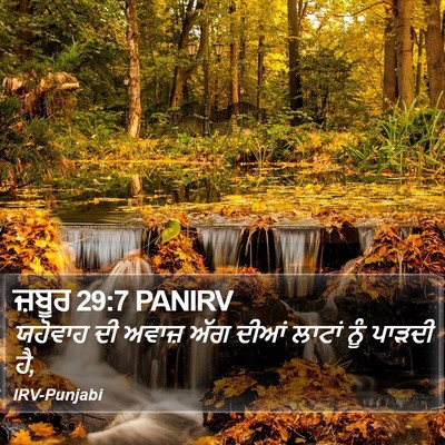 ਜ਼ਬੂਰ 29:7 PANIRV Bible Verse Image