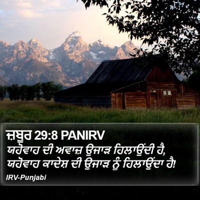 ਜ਼ਬੂਰ 29:8 PANIRV Bible Verse Image