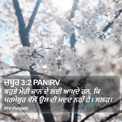 ਜ਼ਬੂਰ 3:2 PANIRV Bible Verse Image