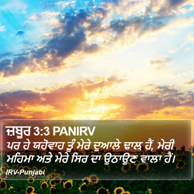 ਜ਼ਬੂਰ 3:3 PANIRV Bible Verse Image