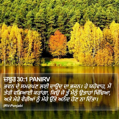 ਜ਼ਬੂਰ 30:1 PANIRV Bible Verse Image