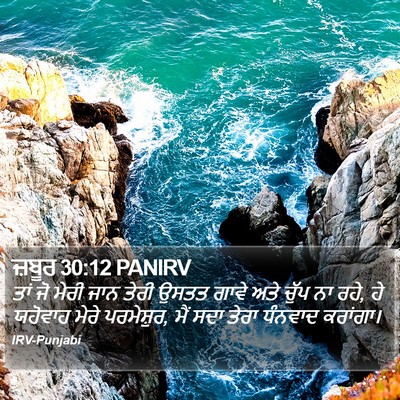 ਜ਼ਬੂਰ 30:12 PANIRV Bible Verse Image