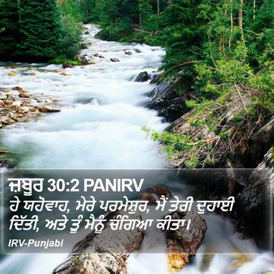 ਜ਼ਬੂਰ 30:2 PANIRV Bible Verse Image