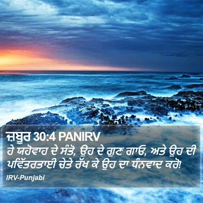 ਜ਼ਬੂਰ 30:4 PANIRV Bible Verse Image